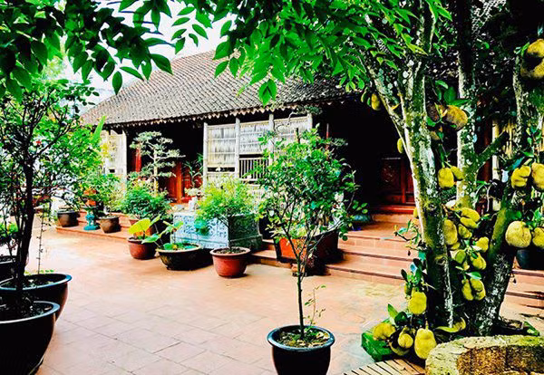 Gần đây, vợ chồng Vượng Râu đưa các con về đây để tránh dịch. Cây xanh chen nhau từ cổng đến sân, vào tận cửa nhà. Ảnh: FBNV