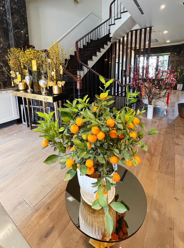 Đào, quất sẵn sàng để đón Tết.