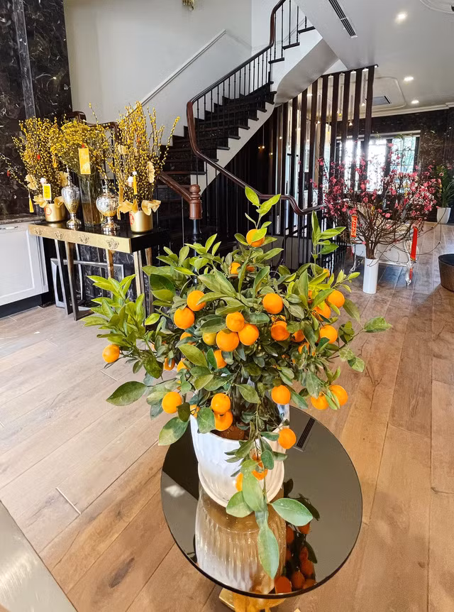 Đào, quất sẵn sàng để đón Tết.