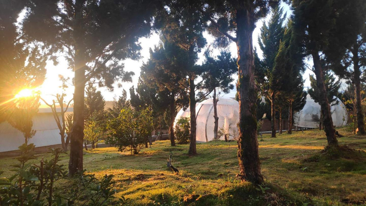 Khu resort này rộng hơn 7.000m2, gồm 16 căn villa có đầy đủ sân vườn, nằm tách biệt trên đồi thông. Ảnh: FBNV