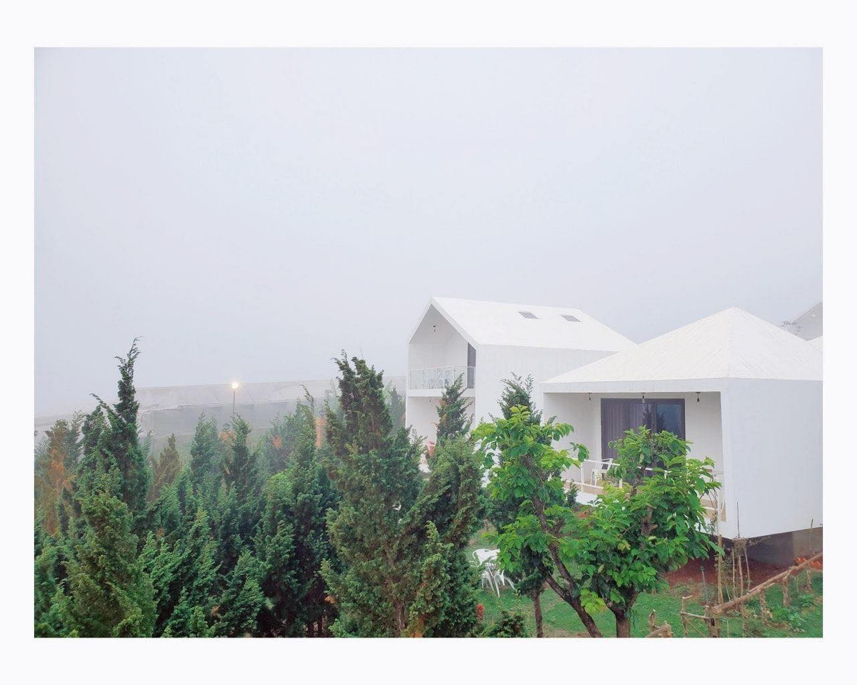 Bên cạnh đó, Lý Nhã Kỳ còn sở hữu một khu resort ở Đà Lạt. Theo ước tính của cư dân mạng, giá trị của nó có thể lên tới cả triệu USD. Ảnh: FBNV