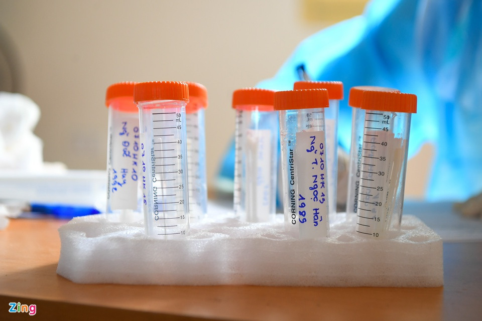 Cán bộ y tế sử dụng phương pháp xét nghiệm gộp mẫu, qua đó lấy một phần của mỗi trong các mẫu để đưa vào gộp và tách chiết, xét nghiệm, phần còn lại của các mẫu được bảo quản để xét nghiệm riêng rẽ lại lần 2 nếu mẫu gộp dương tính. Các mẫu được ghi rõ thông tin sẽ được chuyển về CDC Hà Nội.