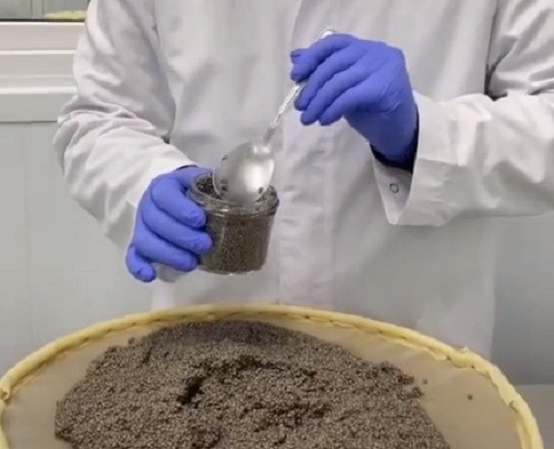 Tiếp theo, họ dùng giấy hút ẩm để làm ráo rồi mới đóng hộp.