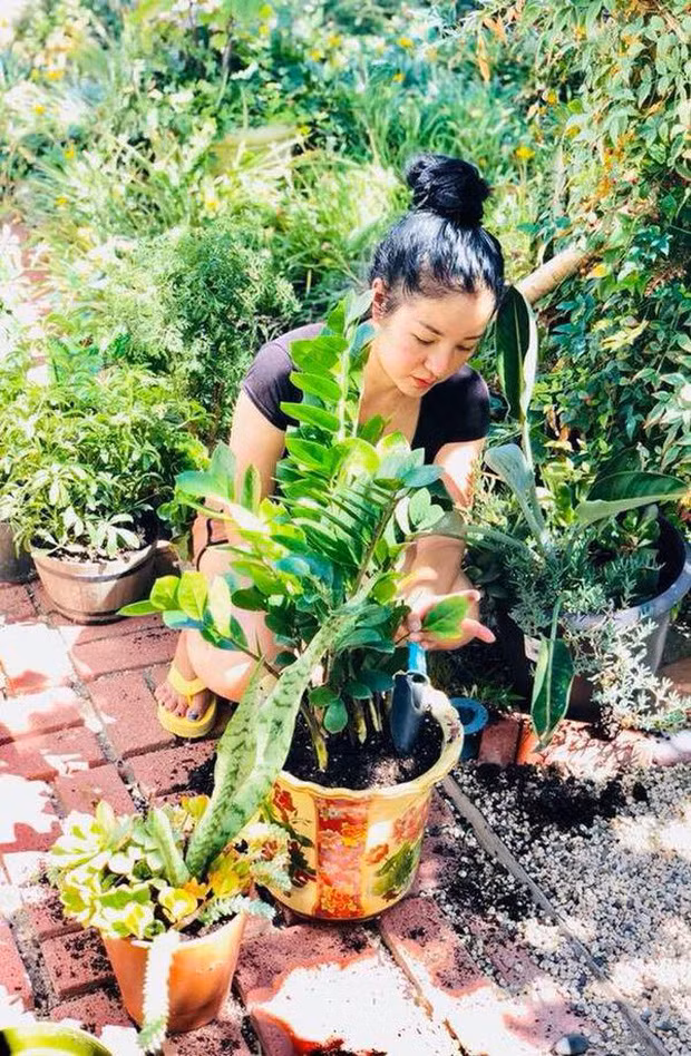Vì nhà có khu sân vườn rộng rãi nên Thuý Nga trồng rất nhiều loại hoa và cây cảnh. Ảnh: FBNV