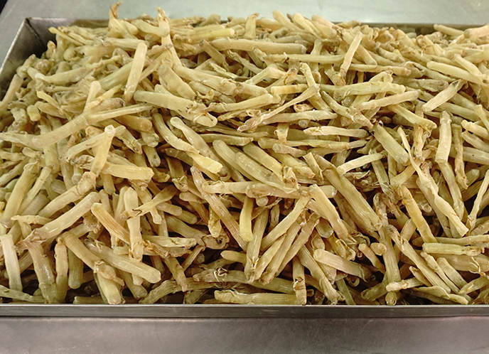 Ngày nay, sá sùng được bán nhiều trên thị trường nhưng giá cũng rất cao. Sá sùng tươi có giá 500.000 đồng/kg. Ảnh: Internet