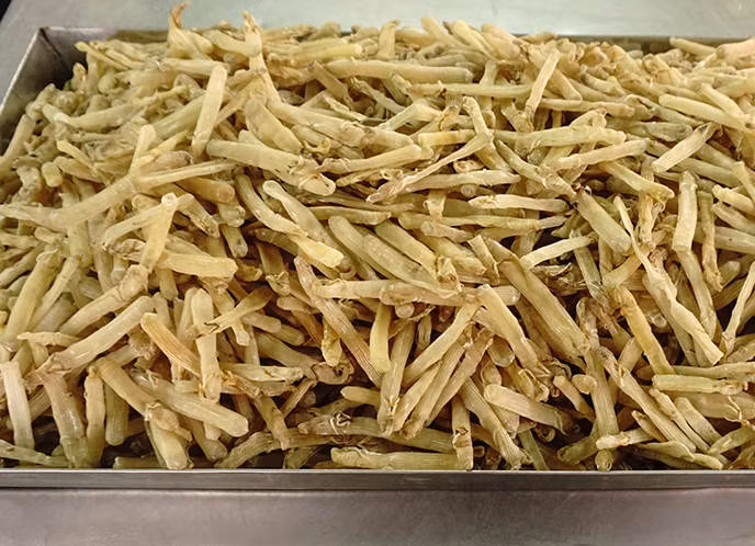 Ngày nay, sá sùng được bán nhiều trên thị trường nhưng giá cũng rất cao. Sá sùng tươi có giá 500.000 đồng/kg. Ảnh: Internet