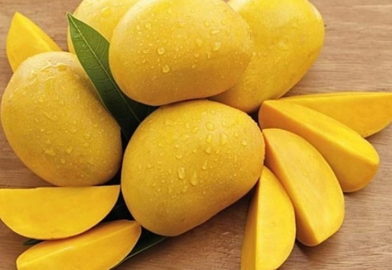 Xoài chín ngon có phần cuống vẫn căng cứng không mềm. Nếu cuống xoài có mùi thơm ngọt đậm, mùi tinh dầu nghĩa là xoài tươi, không hóa chất. Ảnh: Internet