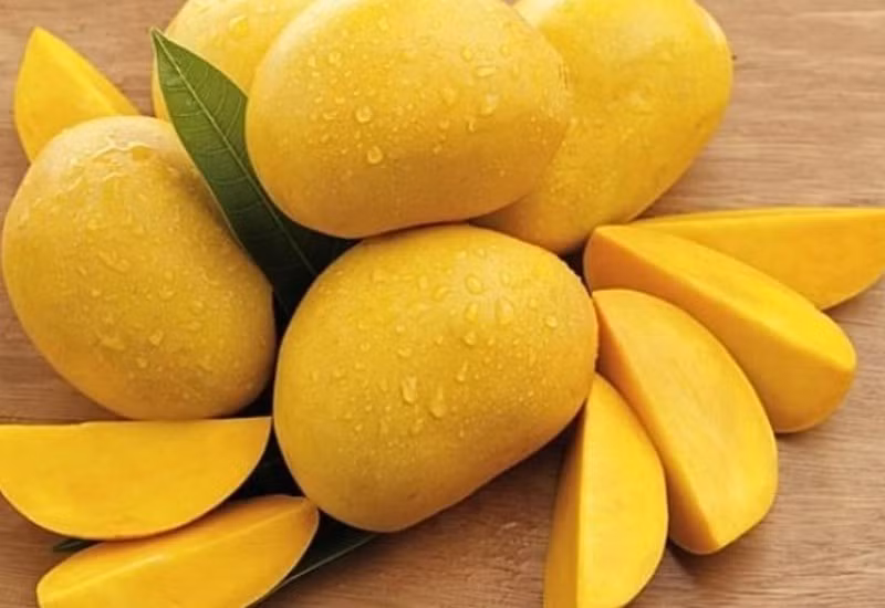 Xoài chín ngon có phần cuống vẫn căng cứng không mềm. Nếu cuống xoài có mùi thơm ngọt đậm, mùi tinh dầu nghĩa là xoài tươi, không hóa chất. Ảnh: Internet