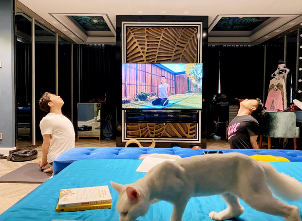 Trường Giang từng cho biết Trấn Thành và Hari Won còn sở hữu 3 ngôi nhà bên Mỹ. Tuy nhiên sau đó Hari Won khẳng định đây chỉ là lời nói đùa của Trường Giang. Ảnh: FBNV