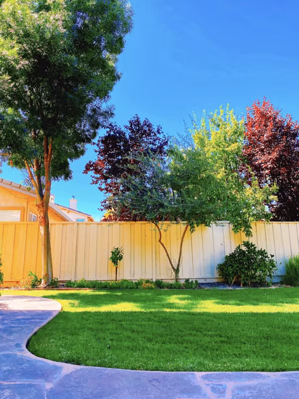 Bên ngoài biệt thự là không gian sân vườn nhiều cây xanh và bãi cỏ rộng lớn. Ảnh: cắt clip