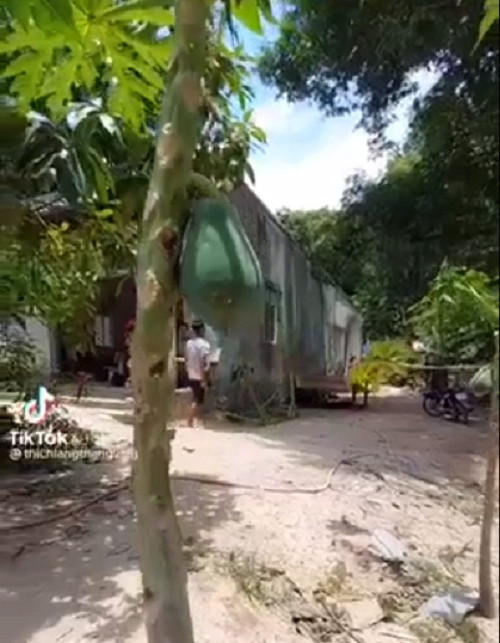 Mới đây, người dùng mạng xã hội được phen mắt tròn mắt dẹt khi chứng kiến một cây đu đủ có hình dáng vô cùng lạ mắt. Theo đó, cây đu đủ này khá cao, thế nhưng chỉ cho ra đúng 1 quả duy nhất. Ảnh chụp màn hình