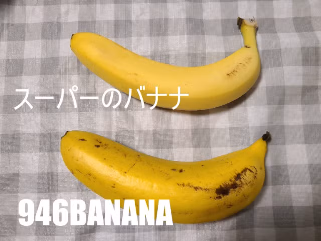 Thậm chí, một hộp chuối có ba quả còn có giá đắt hơn giá mua ba quả lẻ do còn có chi phí đóng gói như quà tặng. Ảnh: Soranews24