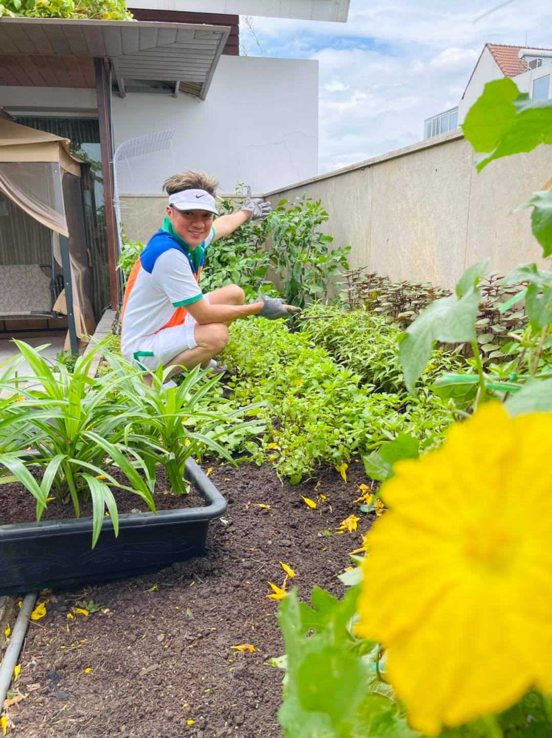 Mới đây nhất, nam ca sĩ chia sẻ về vườn rau đã trồng trong thời điểm ở nhà chống dịch.