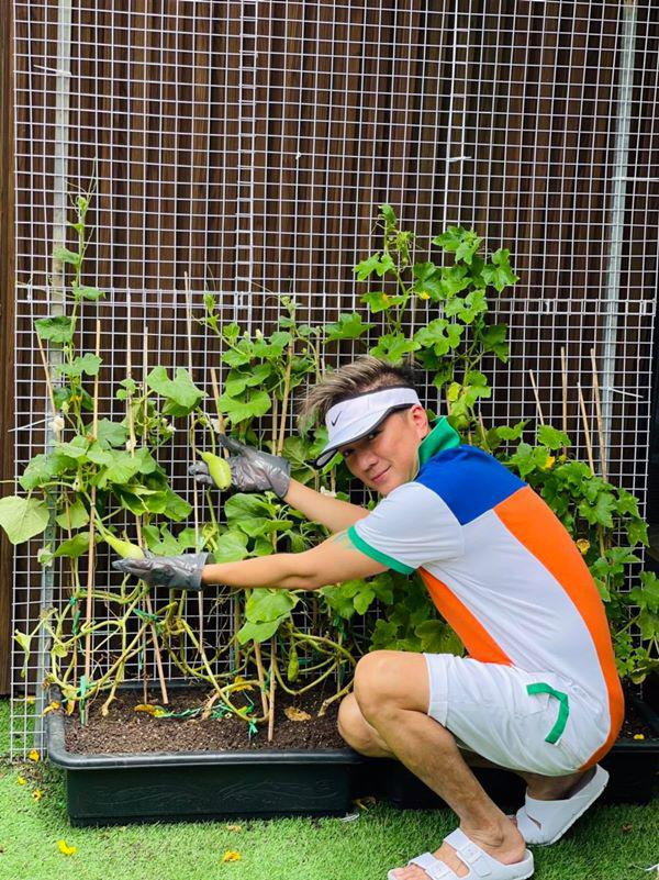 Giàn bầu, bí được anh chăm sóc cẩn thận.