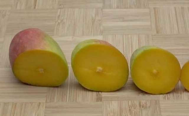 Hạt bé xíu như que tăm còn phần thịt quả rất dày nên xoài được người Trung Quốc rất thích. Tuy nhiên, giá xoài cũng khá rẻ, chỉ 10 tệ (khoảng 34.000 đồng)/kg. Ảnh: Dân Việt.