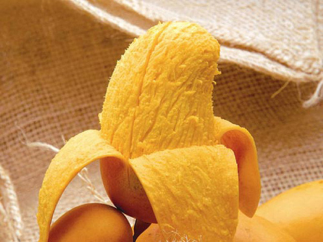 Loại xoài này khá giống xoài mút Trung Quốc. Trái xoài có trọng lượng trung bình 100-200 gram. Khi chưa chín trái có màu xanh, vị chua. Ảnh: Giadinh