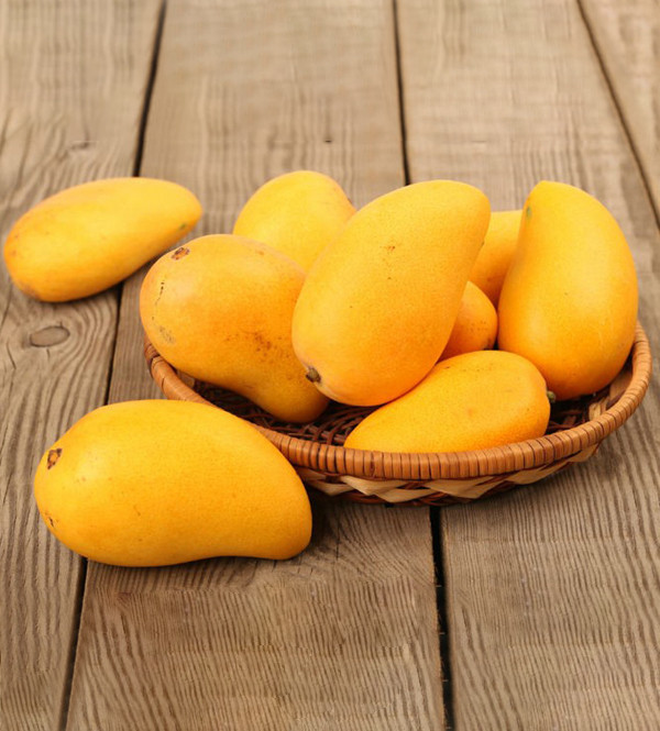 Bên cạnh xoài tí hon Trung Quốc, Việt Nam cũng có loại xoài mini, đó là xoài mút An Giang (hay xoài Thanh Ca). Ảnh: Internet