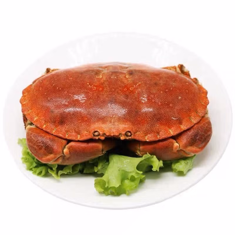 Một người bán hàng khác cho hay: "Cua nâu Na Uy loại 1, độ ngon đạt từ 97-98% so với cua sống. Cua không dây trói, gạch son tràn mai cua, ăn bùi, béo".