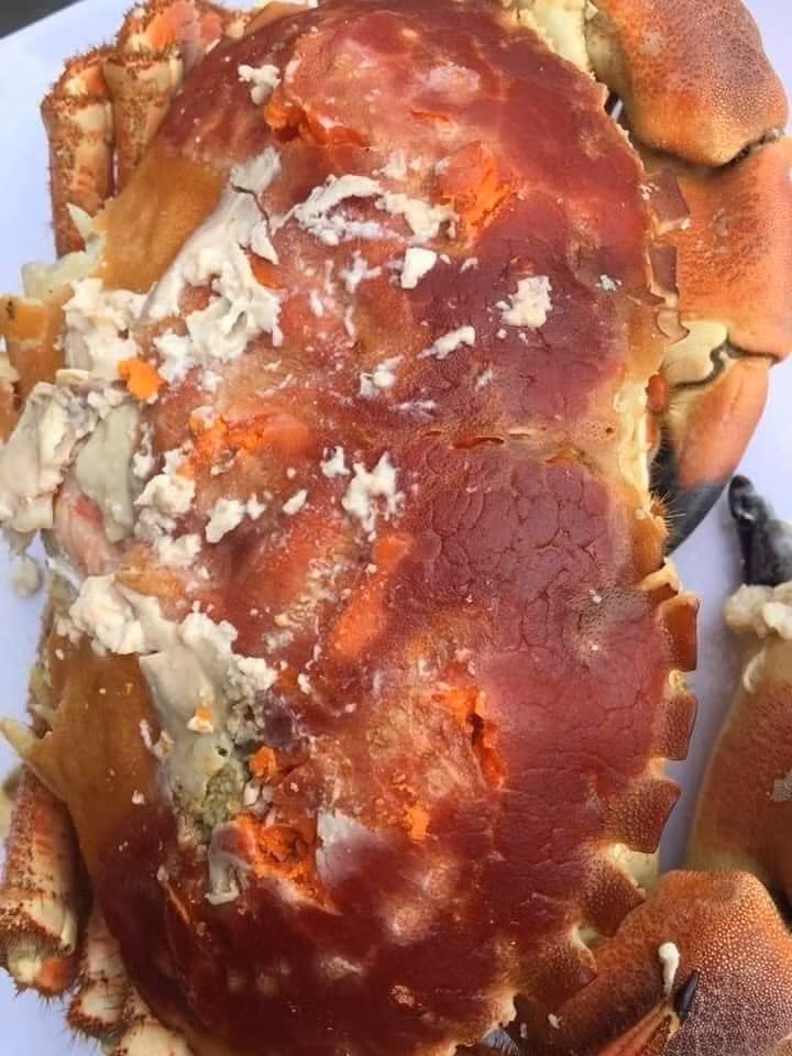 Tuy nhiên, chất lượng cua ngon nhất phải là cua còn tươi sống. Bởi cua đã hấp và để đông lạnh thời gian dài sẽ bị biến chất, không còn độ dai, thơm, ngọt của cua.