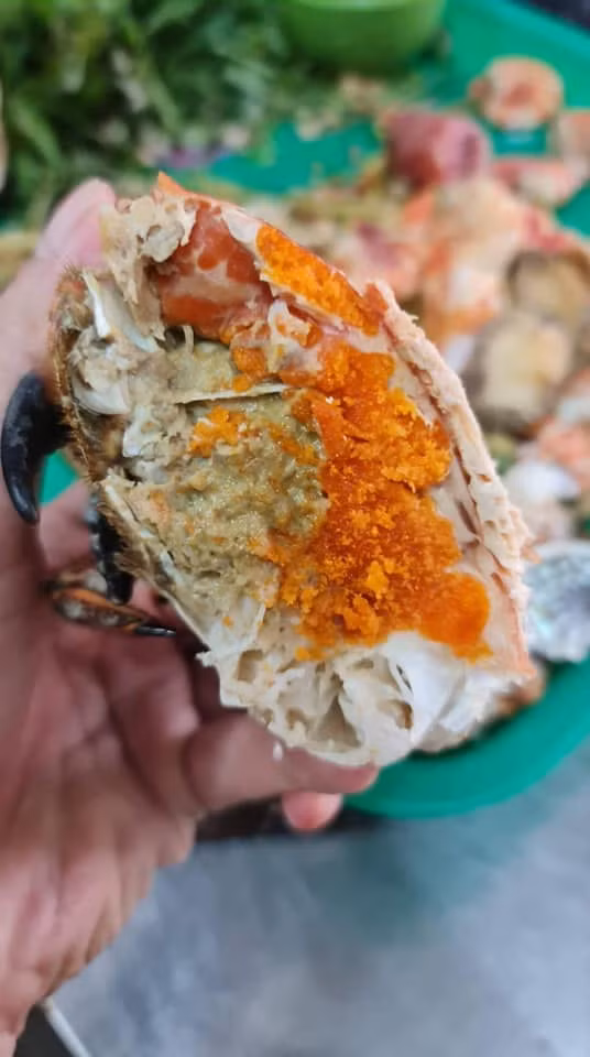 Thế nhưng, loại cua này ăn rất bở và nhạt, khác hoàn toàn với hàng tươi sống.