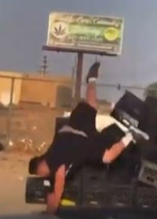 Loat thu thach thung sua mao hiem khien dan mang xon xao-Hinh-8