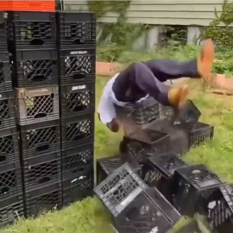 Loat thu thach thung sua mao hiem khien dan mang xon xao-Hinh-6