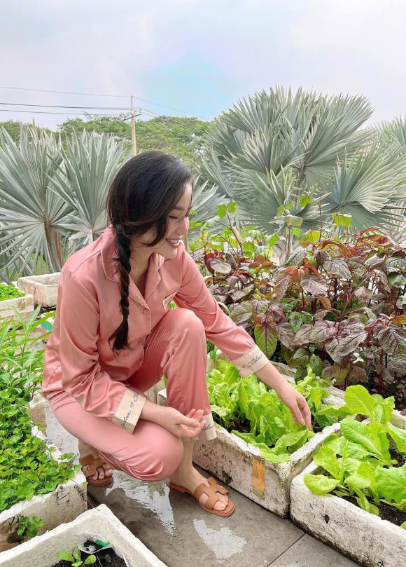 Cô chọn các loại rau ngắn ngày như rau dền, rau má, ngò gai, xà lách, rau lang, rau muống, hành ngò, hẹ...