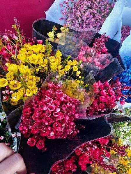 Hoa thanh liễu đủ các loại màu sắc nhập từ Trung Quốc cũng bán rất chạy với mức không quá cao, khoảng 130.000-180.000 đồng/bó 5-7 cành.