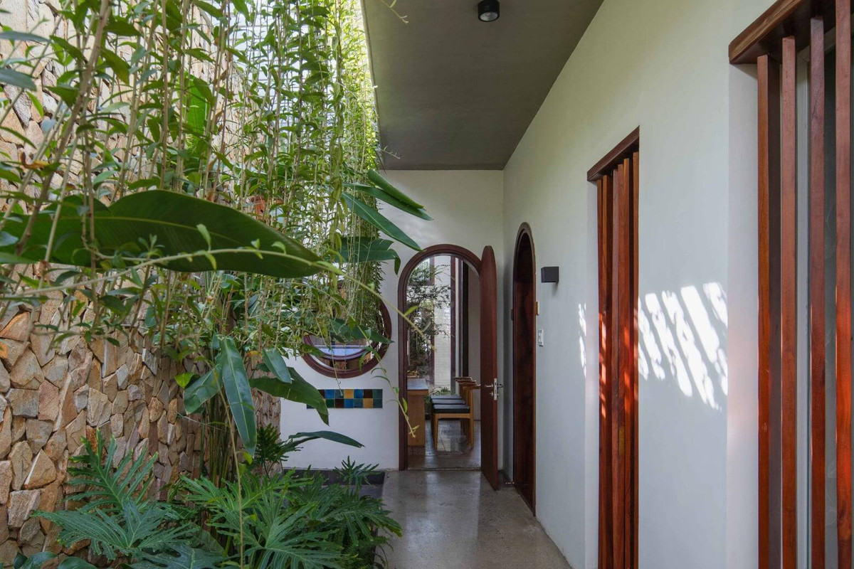 Cây xanh tại khu vực hành lang giúp điều hòa không khí.