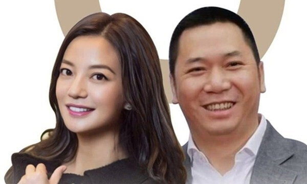 Triệu Vy và chồng tham gia điều hành khoảng 7 công ty. Nguồn thu của Triệu Vy phần lớn đến từ các hoạt động kinh doanh.