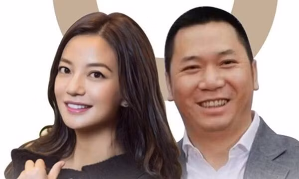 Triệu Vy và chồng tham gia điều hành khoảng 7 công ty. Nguồn thu của Triệu Vy phần lớn đến từ các hoạt động kinh doanh.