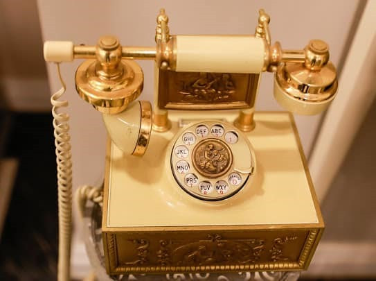 Trong biệt thự còn có nhiều món đồ cổ đắt tiền.