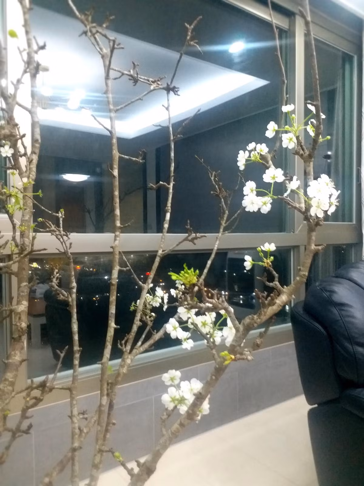 4 loai hoa rung duoc dan Ha thanh lung choi Tet-Hinh-7