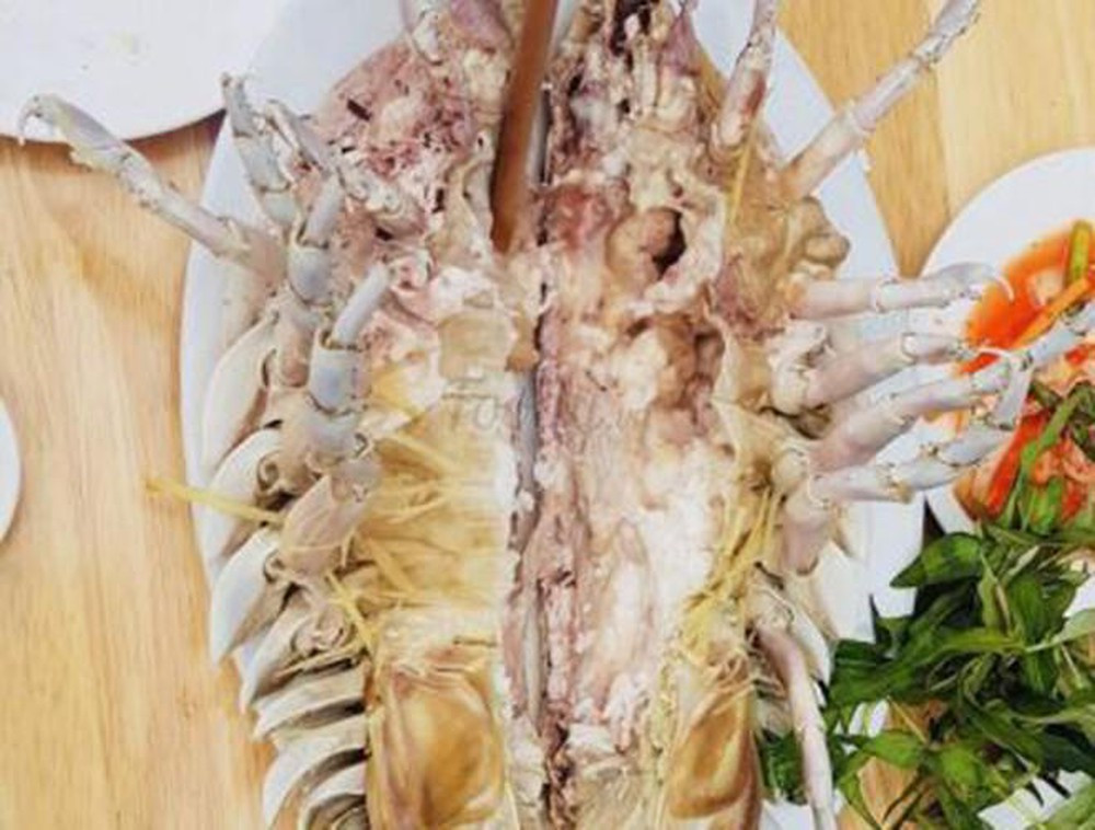 Một số thực khách nhận xét rằng, thịt bọ biển ngon và đậm đà hơn cả tôm hùm - vốn được ví là "vua hải sản". Ảnh: Thanhhaisan