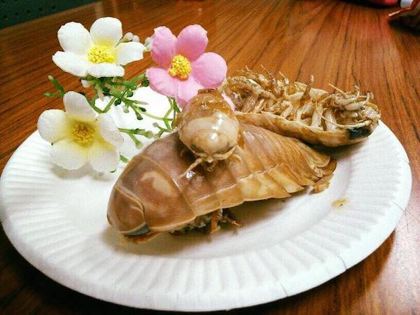 Thế nhưng, món ăn khiến những ai thưởng thức một lần phải nhớ mãi bởi vị béo nhưng không ngậy, thơm ngọt tự nhiên. Ảnh: Kinhtedothi