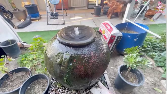 Ngoài cây ăn quả, danh ca Hương Lan còn trồng thêm nhiều loại rau như chùm ngây, sả, ngải cứu, lá nếp cẩm...Ảnh chụp màn hình.