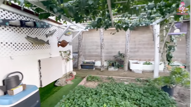 Khu vườn phía sau nhà Hương Lan rất rộng, có diện thích lên tới cả trăm mét vuông. Ảnh chụp màn hình.