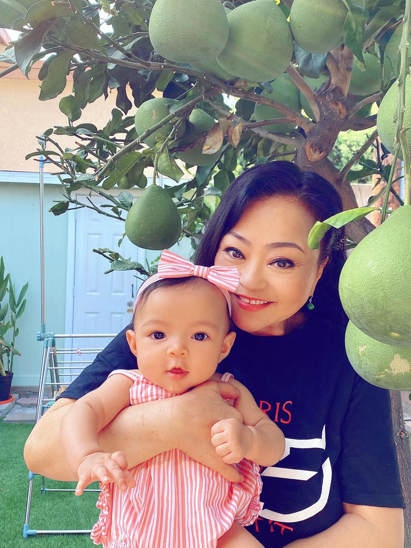 Trong khu vườn trồng rất nhiều loại cây ăn quả khác nhau nhưng chủ yếu là các cây Việt Nam như: bưởi, thanh long, vải thiều, xoài, ổi, lựu, na, sa bô chê...Ảnh: Vietnamnet