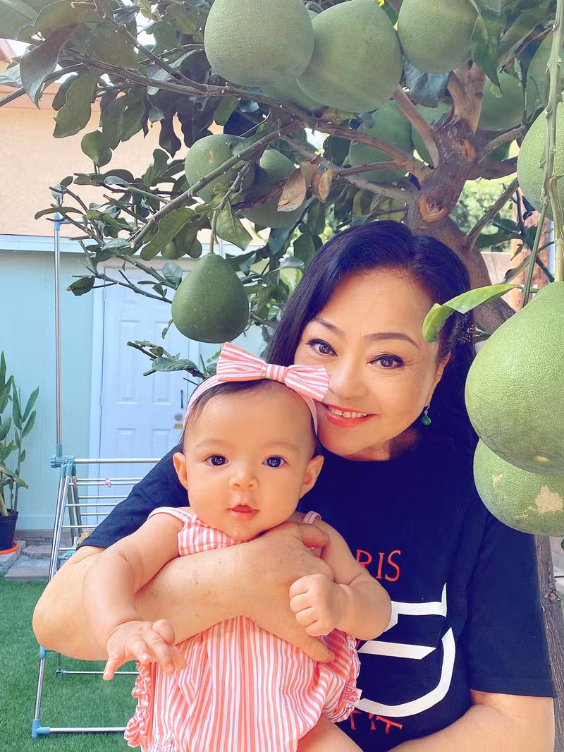 Trong khu vườn trồng rất nhiều loại cây ăn quả khác nhau nhưng chủ yếu là các cây Việt Nam như: bưởi, thanh long, vải thiều, xoài, ổi, lựu, na, sa bô chê...Ảnh: Vietnamnet