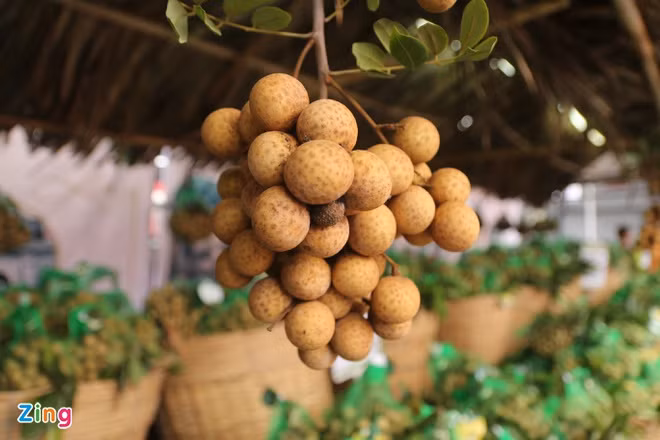 Trong khi quả nhãn bán tại Việt Nam giá trung bình 25.000-35.000 đồng/kg thì sang Australia có giá bán lẻ gần 200.000 đồng. Ảnh: Zing