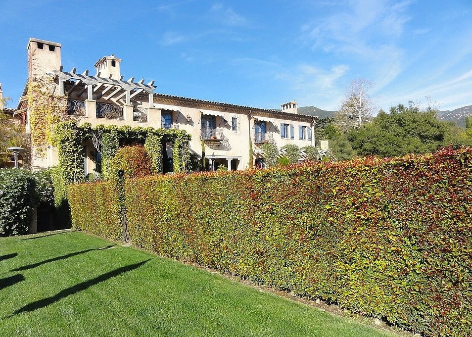 Hàng rào được cắt tỉa công phu. Ảnh: DM.