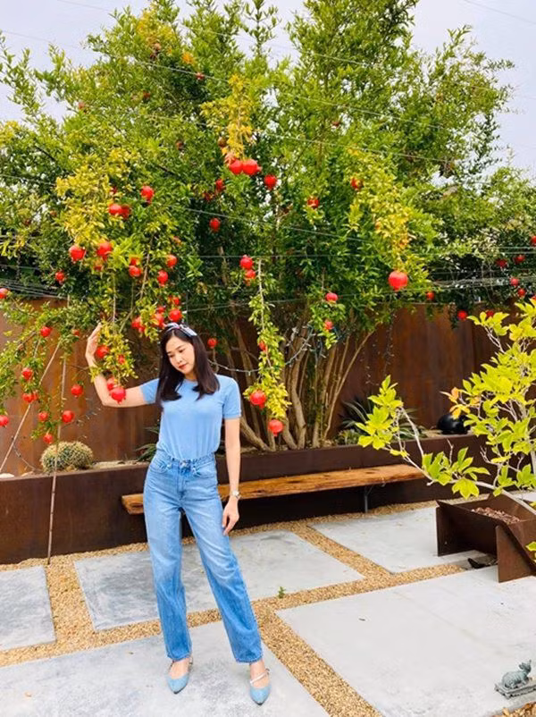 Theo đó, nhà của người đẹp có nhiều cây ăn trái, cây cảnh trồng trong bồn đất cạnh tường bao.