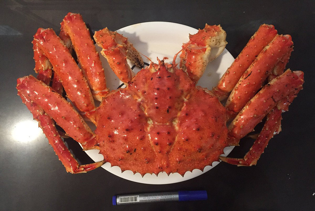 Cua hoàng đế được đánh bắt tại vùng biển sâu và lạnh ở biển Bắc Thái Bình Dương, vùng biển Alaska. Ảnh: Internet