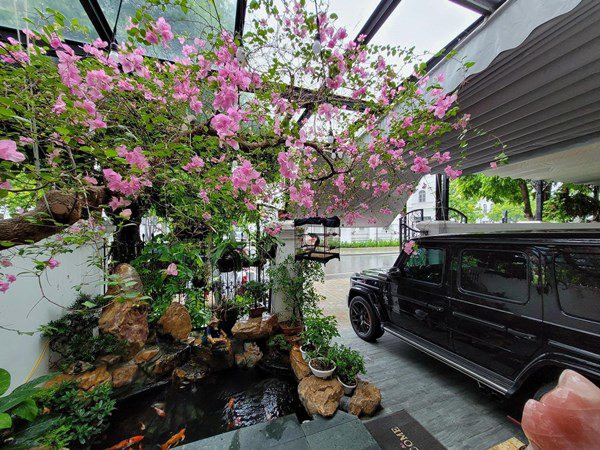 Trong đó, chỉ riêng hồ cá trong khoảng sân nhà Tuấn Hưng đã từng được một chuyên gia thực hiện tiểu cảnh ước tính giá trị lên đến 1 tỷ đồng.