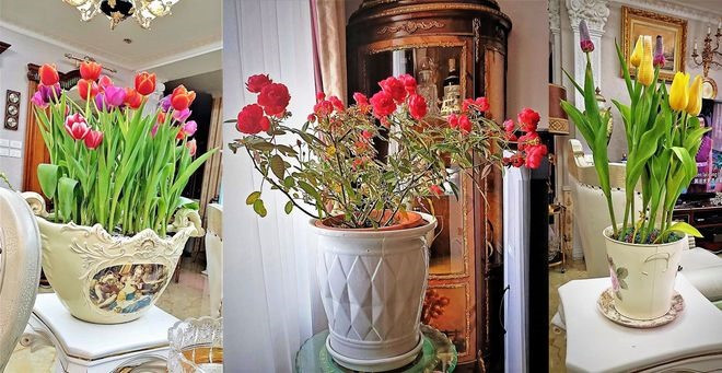 Biệt thự ngập tràn không khí xuân. Nguồn ảnh: FBNV.