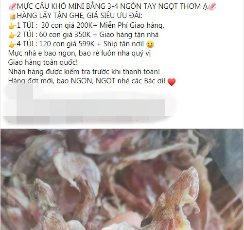 Có người bán mực khô theo túi, 1 túi 30 con giá 200.000 đồng, 2 túi 60 con giá 350.000 đồng, nếu lấy 4 túi 120 con giá chỉ có 599.000 đồng giao hàng toàn quốc và ship tận nơi.