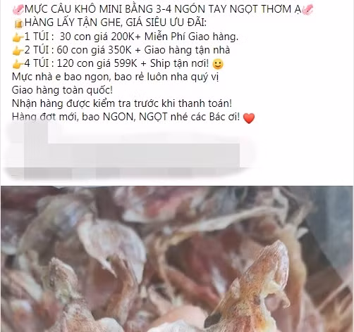 Có người bán mực khô theo túi, 1 túi 30 con giá 200.000 đồng, 2 túi 60 con giá 350.000 đồng, nếu lấy 4 túi 120 con giá chỉ có 599.000 đồng giao hàng toàn quốc và ship tận nơi.
