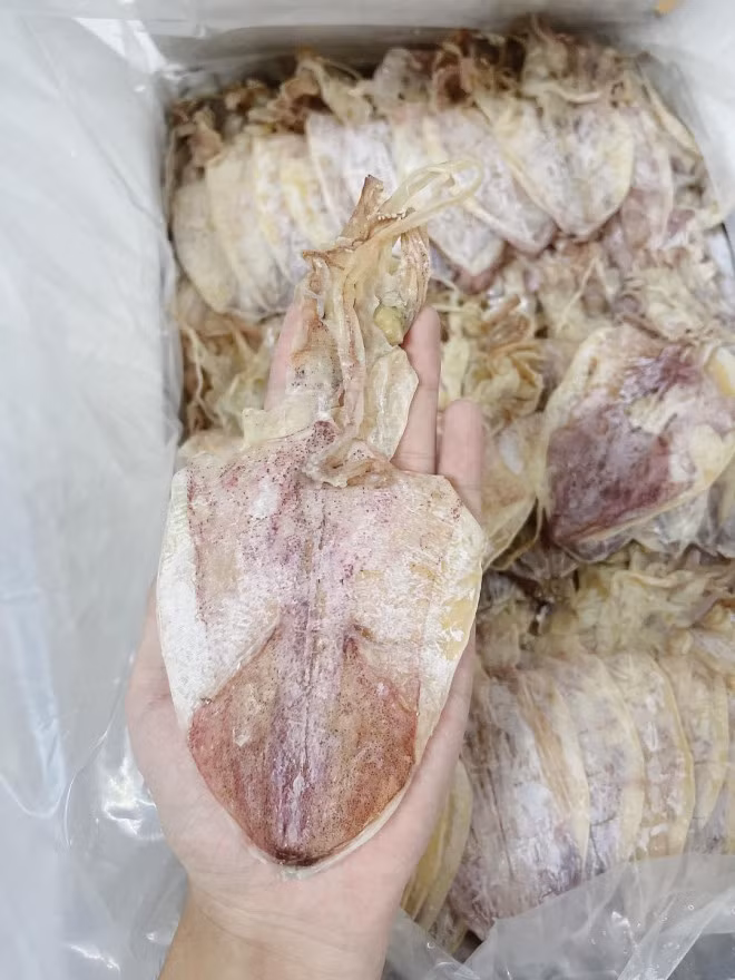 Theo một số đầu mối, loại mực khô mini bán nhiều trên chợ mạng được nhập các tỉnh từ Nghệ An trở vào khu vực Nam Trung Bộ. Đây là những khu vực có thể đánh bắt được lượng lớn mực mini bằng phương pháp giã cào hoặc câu tay nên giá thành rẻ hơn.