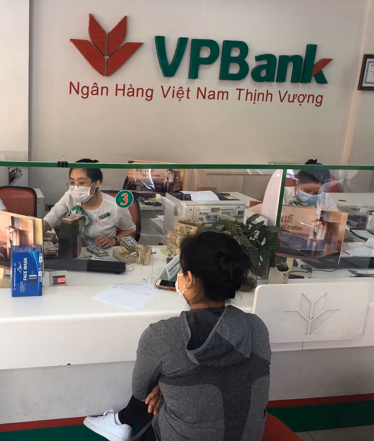 Nhung “bong hong” Thu do “toa huong” giua tam dich-Hinh-2