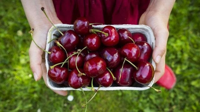 Cherry đỏ căng mọng, quà bóng chắc, vị ngọt thanh nhẹ, ăn giòn giòn. Với hình dạng nhỏ nhắn bắt mắt, nhiều gia đình dùng cherry để trang trí mâm ngũ quả ngày Tết. Cherry đỏ Mỹ có giá tới 500.000 - 550.000 đồng/kg. Ảnh: Internet.